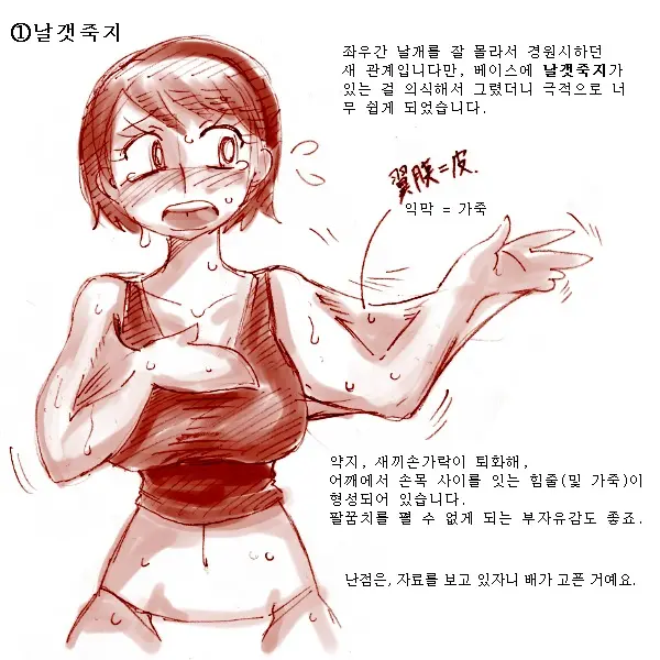 Tori TF Ni Kansuru Kousatsu To Renshuu | Study And Practice About Bird TF